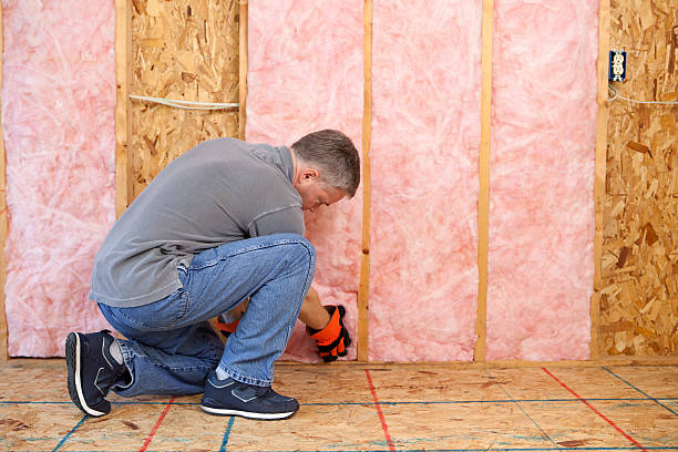 Eco-Friendly Insulation Solutions in Dumas, AR